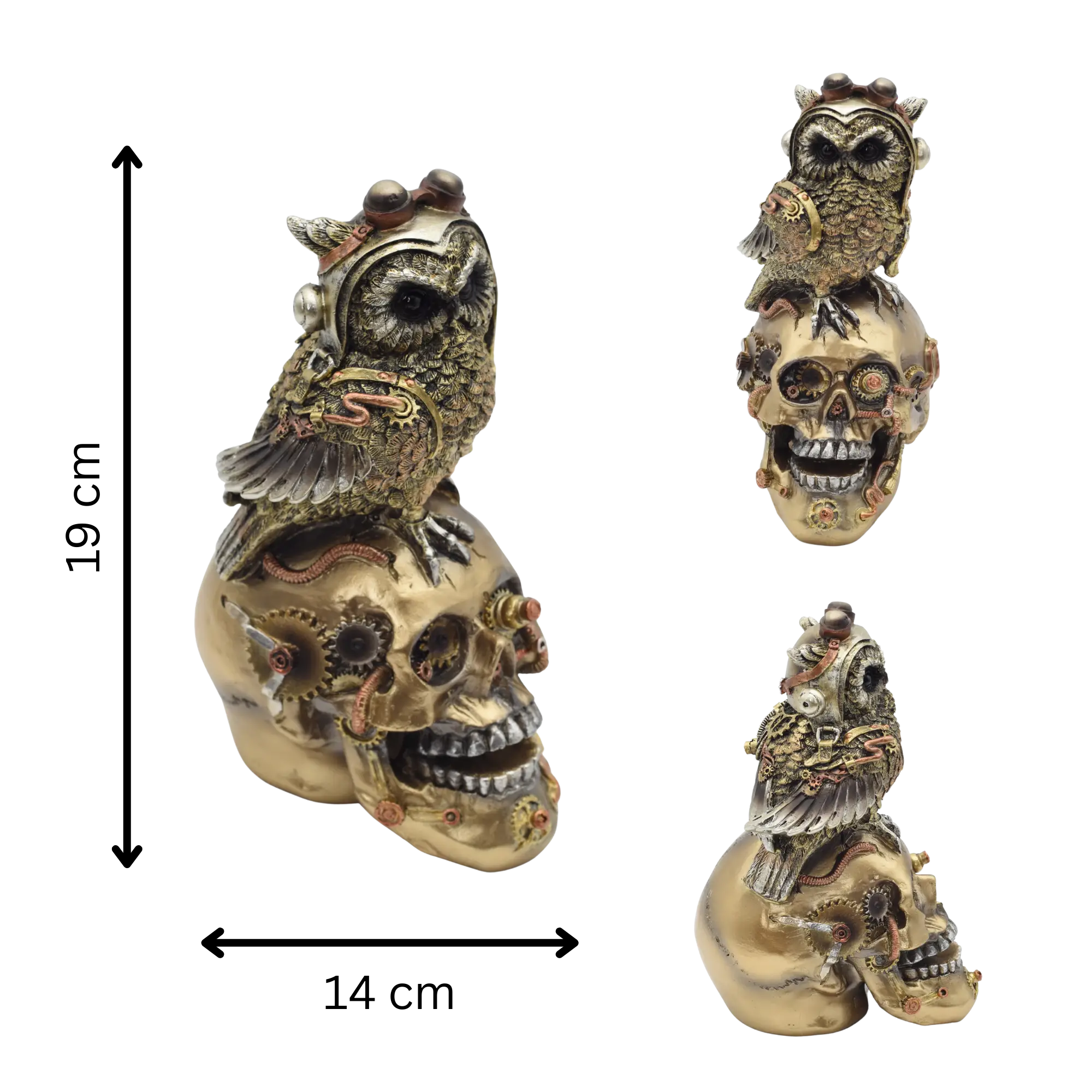 Totenschädel aus Resin mit Eulenfigur – Bild 9